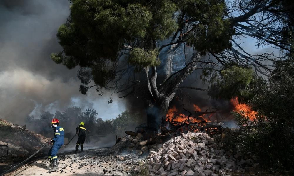 Φωτιά σε δασική έκταση στο Πόρτο Γερμενό